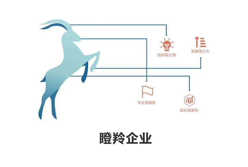 重磅喜讯|热烈祝贺我司被评为“瞪羚企业”